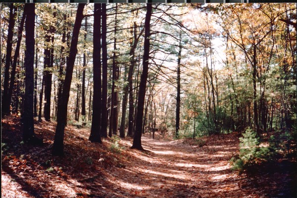 walden_pound_4