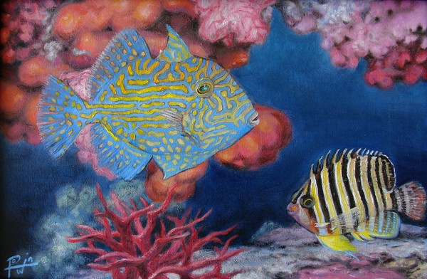 Trigger Fish