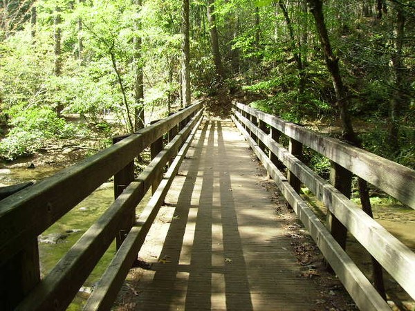 wooden bridge