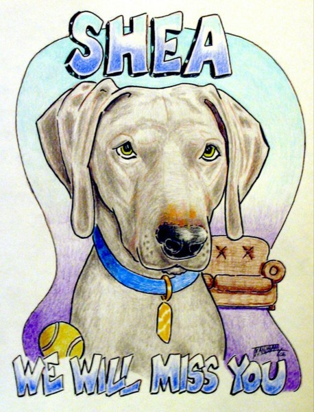 Good Dog, Shea