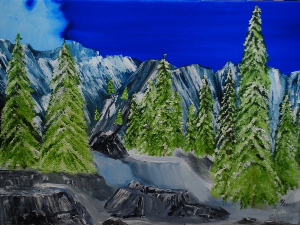 Snow Covered Trees on Rocky Mountain Pass