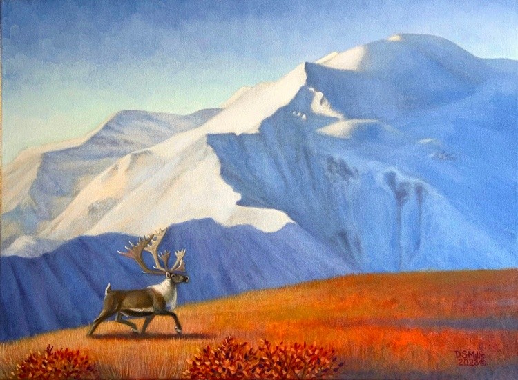 Northern Nomad