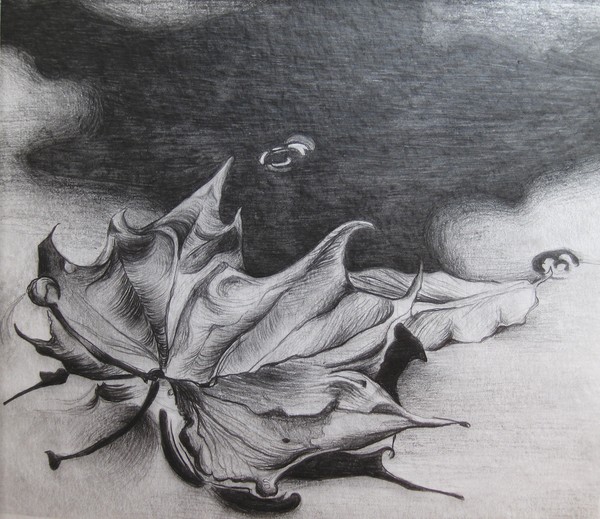 Floating Leaf