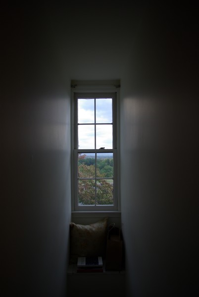 Window
