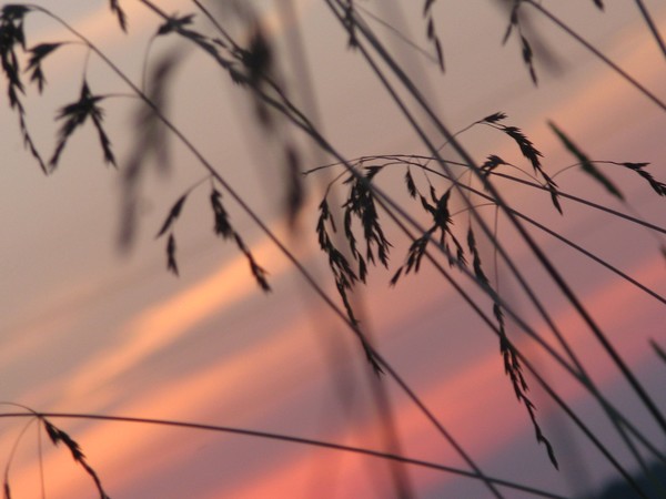sunset series©2010 july captures