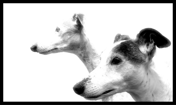 Black and white