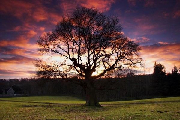 Valley of Desolation at Dusk
