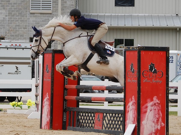 Jacksonville horse show