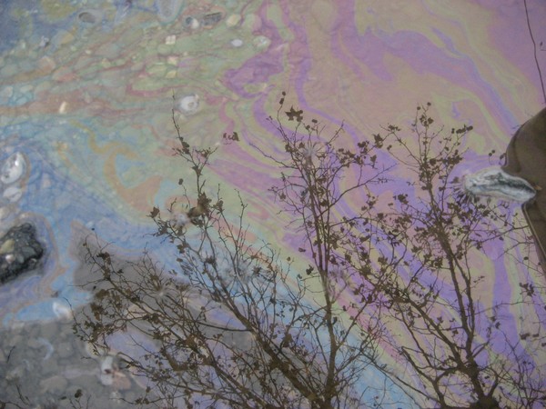 Toxic colors