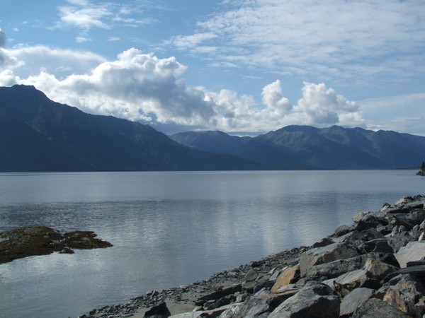 Turnagain Arm of Cook Inlet Alaska