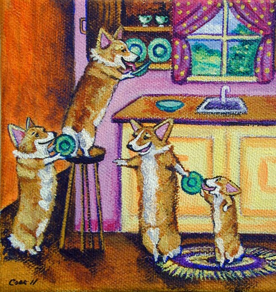 Corgi Wash and Dry Gang!