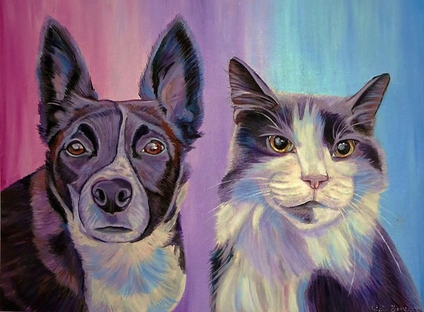 Stella And Mogwi