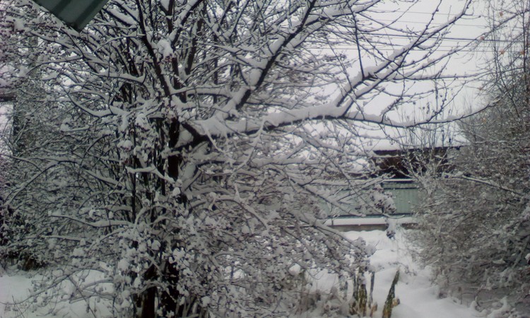 Late November
