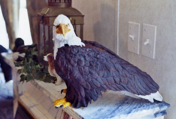 American bald eagle