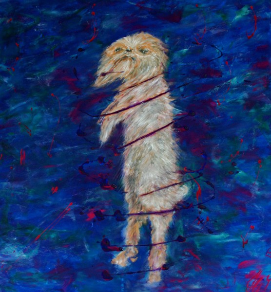 Danser Hunden