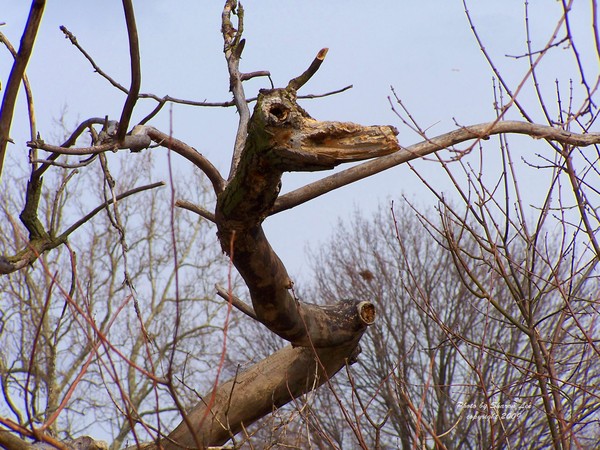 Tree Horse Warrior