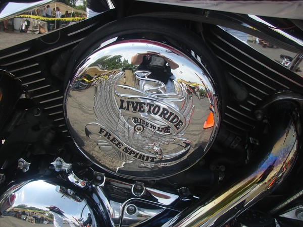 Live to Ride