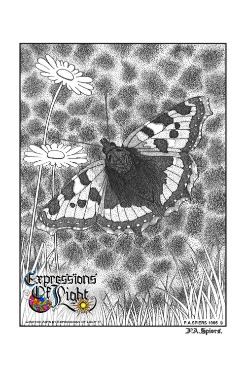 ExpoLight-Graphic-Arts-Butterfly-1985-0001 (Pen-&-Ink-Mono-SP)
