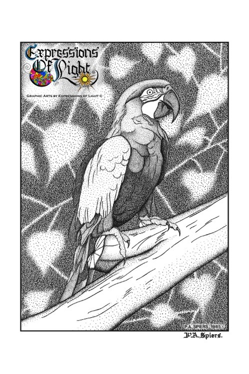 ExpoLight-Graphic-Arts-Parrot-1985-0001 (Pen-&-Ink-Mono-SP)