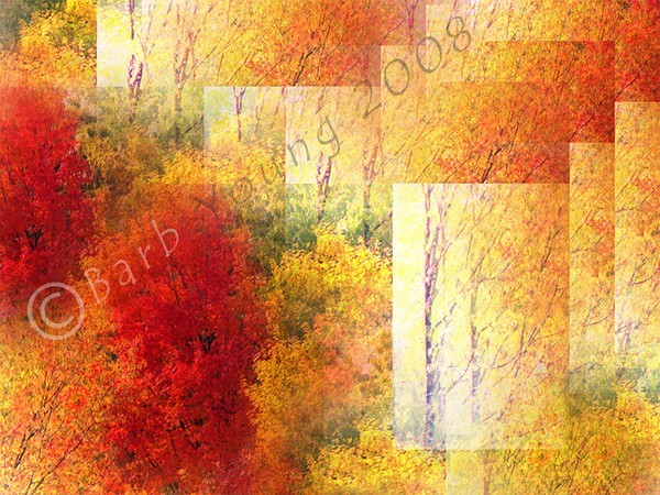 Echoes of Autumn