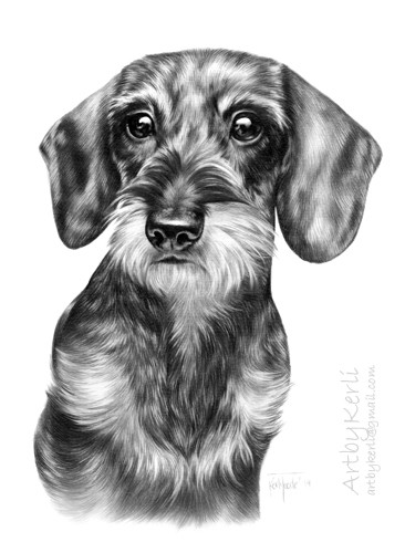 Kenzi