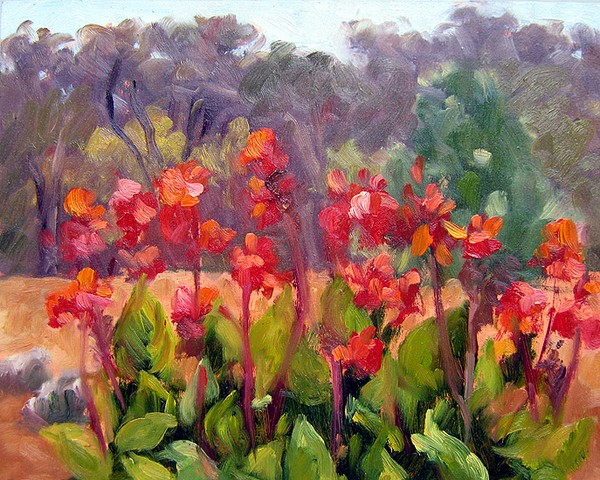 West County Cannas