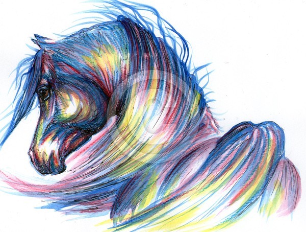~~Ulinska-Lisowska Origin.l Arabian Horse  Waterco