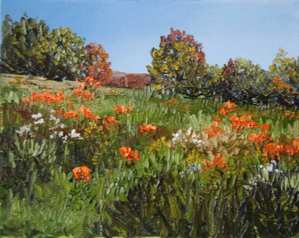 Vermont Poppies