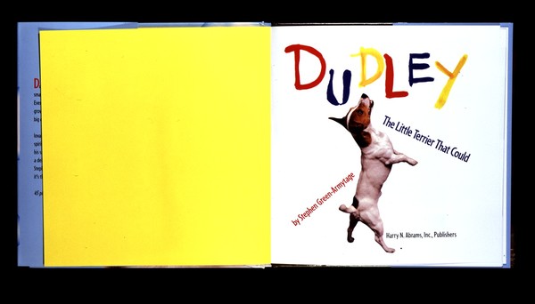 Dudley: The Little Terrier That Could