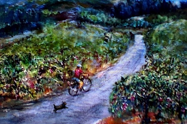 Night Ride in Wine Country