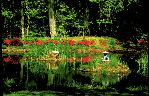 WILDERNESSS POND