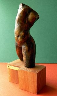 Torso