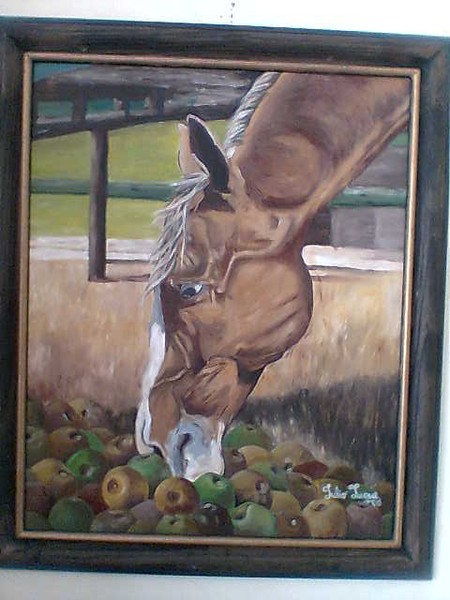 caballo 14