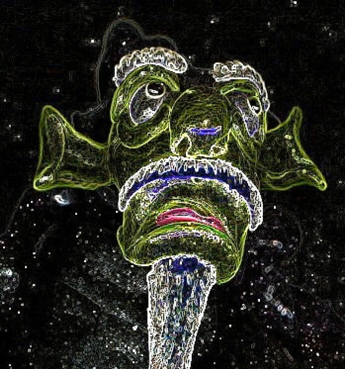 Star Gazer 8