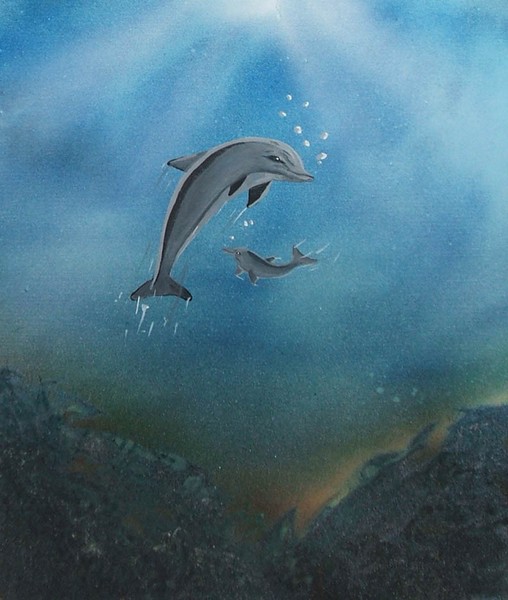 Dolphins
