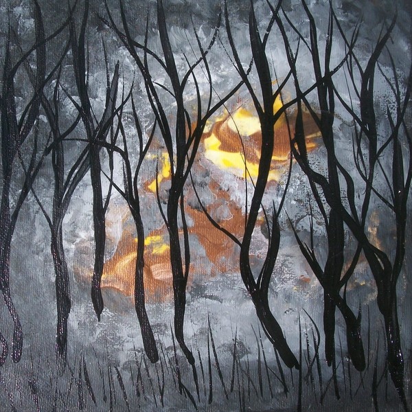 Foggy Forest