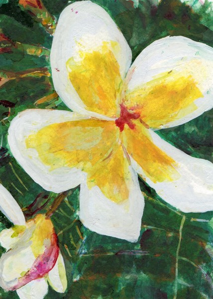  Cindys Island Flower