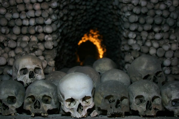 Sculls & bones I