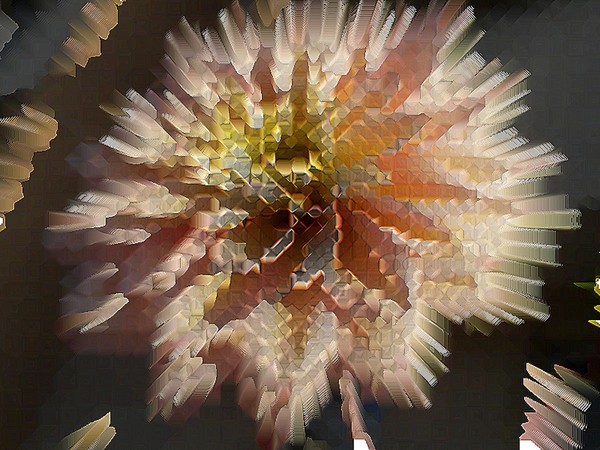 flower candy