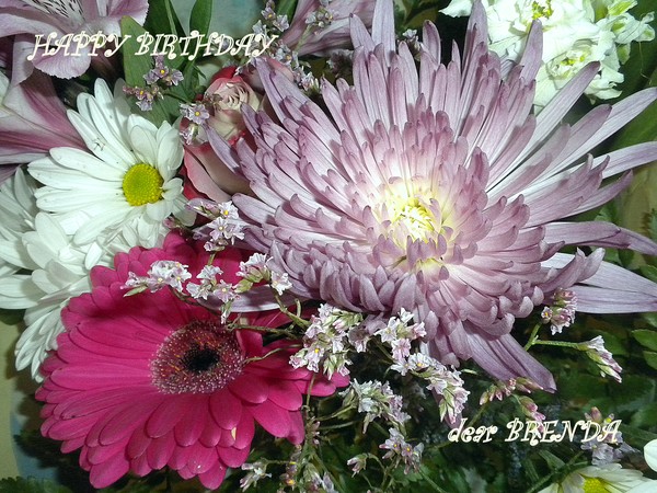 flowers for BRENDA