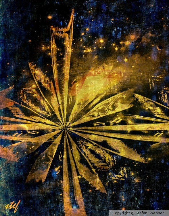 a star is born