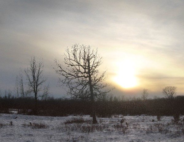 Ten Below