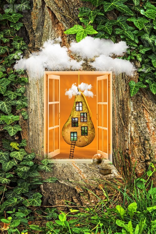 At the Threshold of an Enchanted Forest