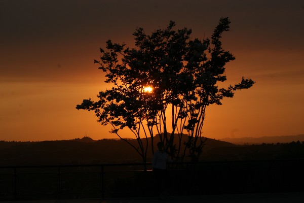 Sunset at Griffith Park