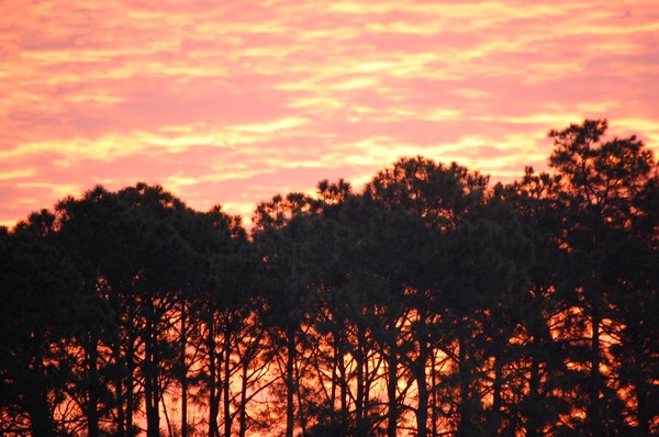 Red Morning Sky