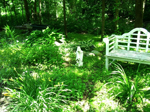 my perrenial garden