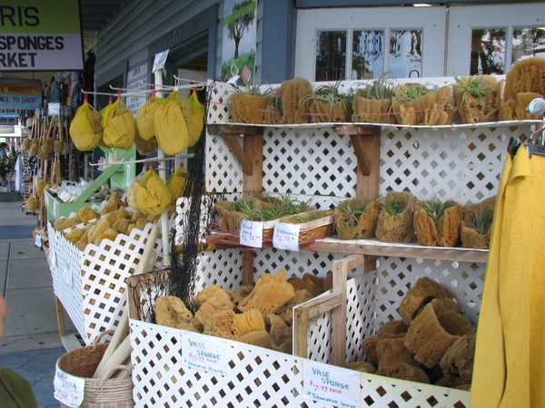 Sponge Street Sale