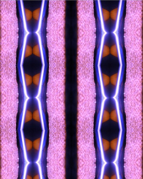 DNA