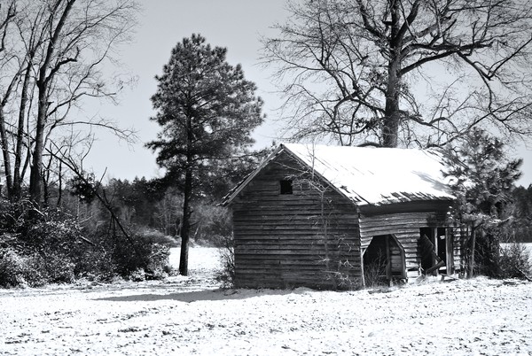 Barn