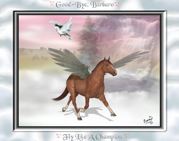 Good-Bye Barbaro